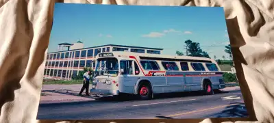 8x12 PHOTO ST JOHN NEW BRUNSWICK GM NEW LOOK BUS UNIQUE PICTURE, View more