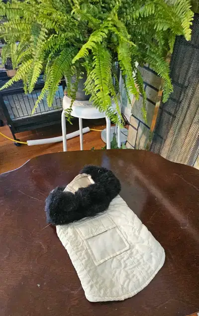 Small Dog Clothing, View more