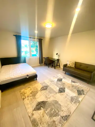 Furnished Bachelor Apartment available for Monthly or custom lease/longterm. Available July 1. $1275...