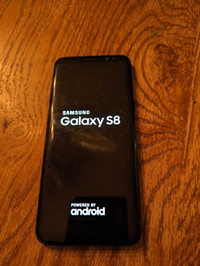 Samsung Galaxy S8 phone