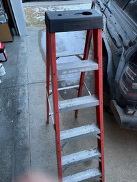 6’ fiberglass ladder