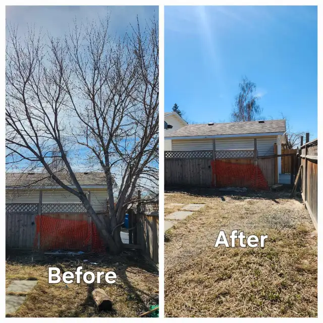 Papa Chops Tree Service63005665288193121