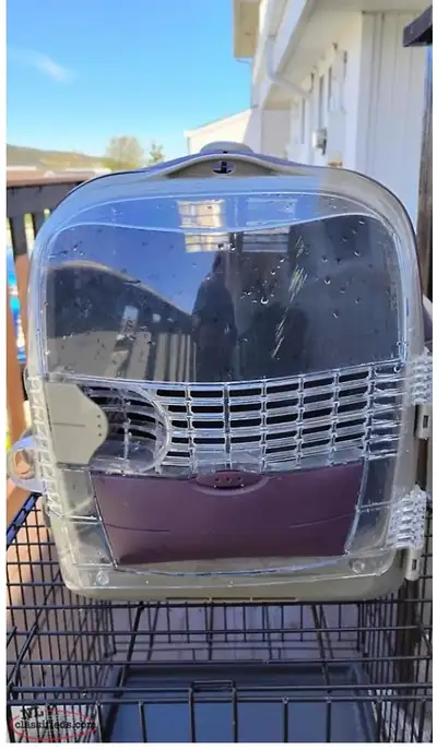 Pet carrier for a cat or small dog like new 50 call 709 743 0603, View more