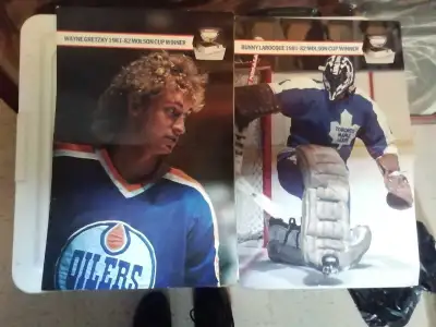 81-82 St Catharines Saints program posters, View more