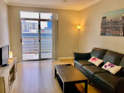 Furnished One-Bedroom Apartment in Downtown London ($1250/mo), View more