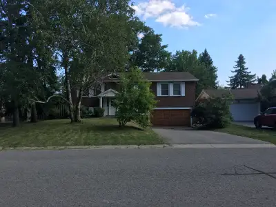 Markham Rd/Hwy7 Detached House Master Private Room for Rent