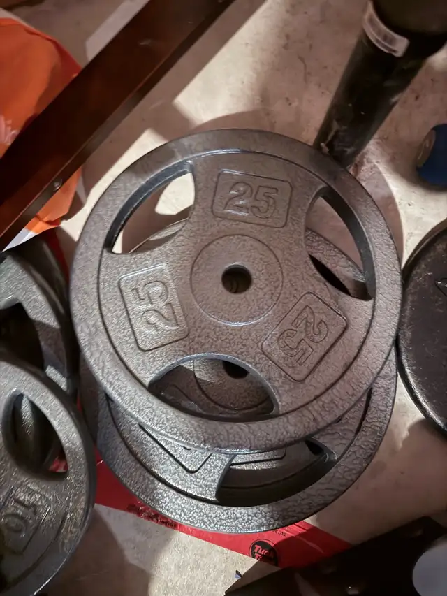 25 lbs Olympic Weight Plates in Exercise Equipment in Ottawa - Image 2