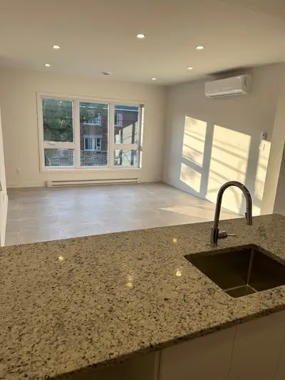 Grand 5 1/2 Moderne, 3 CAC Rosemont, Metro Fabre, Villeray