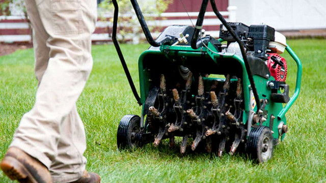 Professional Weed Control Service - MWC in Lawn, Tree Maintenance & Eavestrough in Mississauga / Peel Region - Image 3