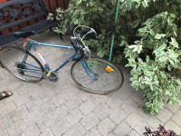 Vintage Skyline Adult 10 Speed Bicycle in great condition