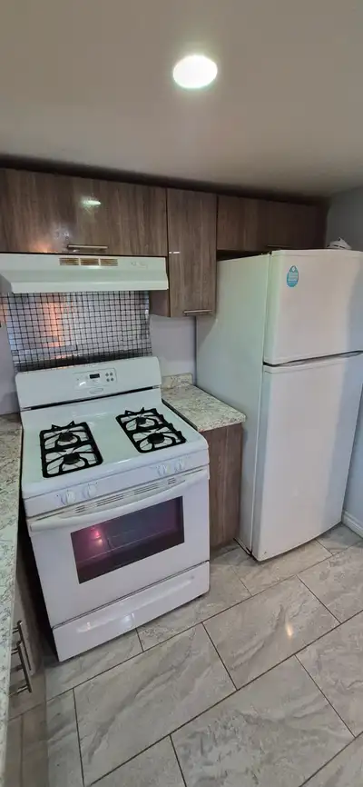 Hi there I have a 2 bedroom basement for rent close to St Clair College walking distance to Windsor...