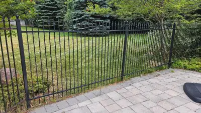 77 ft of iron fence panles, height 5 ft. Includes self closing gate. No posts. Removed due to remode...