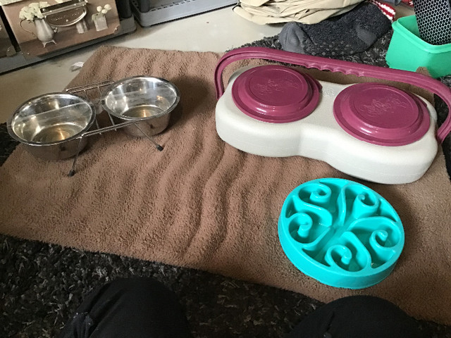 Three Pet Food Containers- New Condition in Accessories in Saskatoon