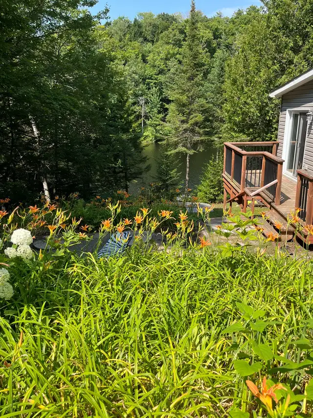 enchanting cottage on Fiddler Lake in Quebec in Canada - Image 10