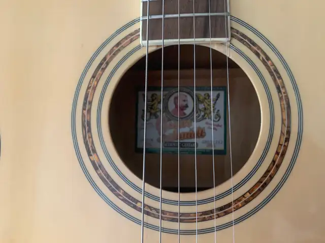 Oscar Schmidt Guitar in Guitars in Edmonton - Image 10