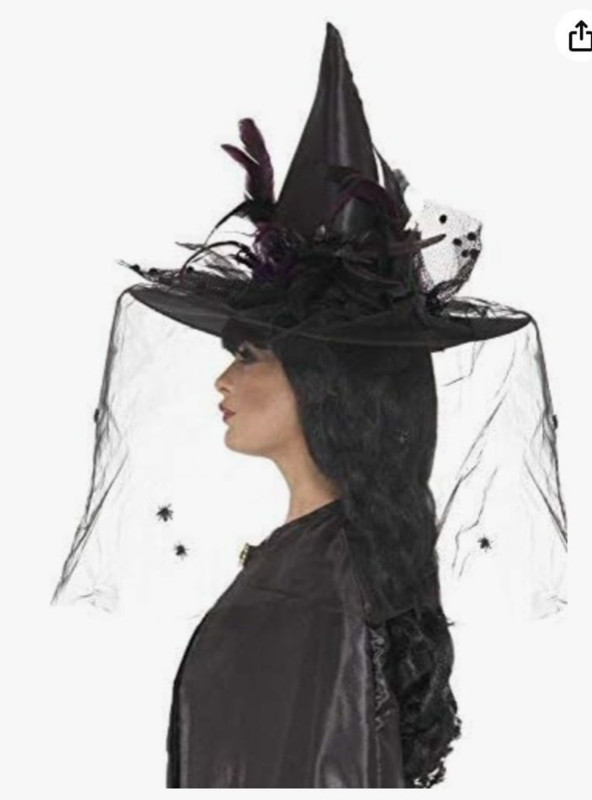 Witch Costume (Witch Hat and Dress) in Costumes in Markham / York Region - Image 2