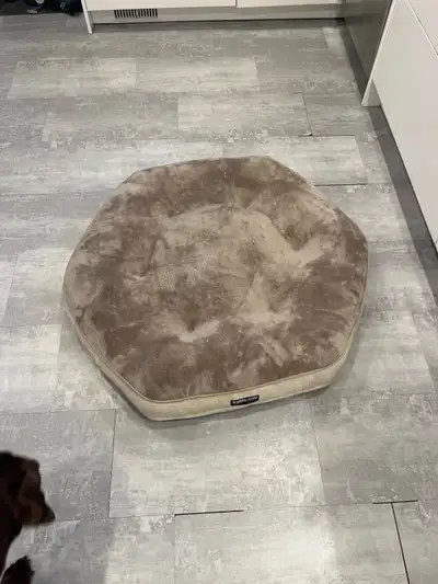 Kirkland dog bed, View more