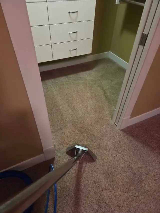 Carpet and Furniture Cleaning in Cleaners & Cleaning in Penticton - Image 8