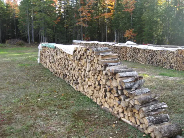 Bois de Chauffage in Other in Rimouski / Bas-St-Laurent - Image 2