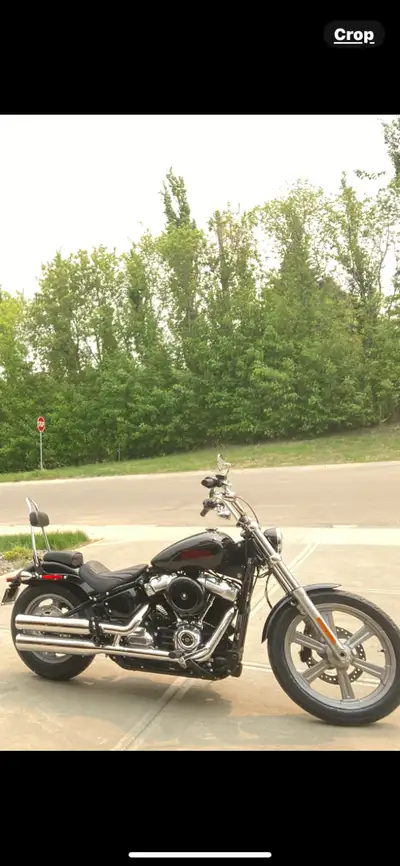 2023 Harley, Softail standard, black and chrome, 11200KM, has about $2000 in upgrades.. (Passenger s...
