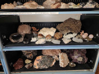 rock collection asking 250 per shelf their 8 in total