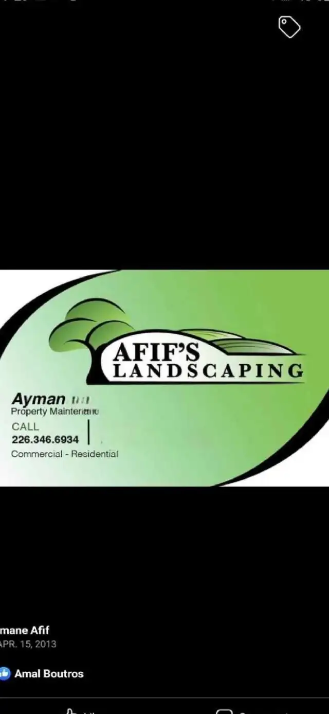 landscaping lawn grass cutting trimming property yard clean up 