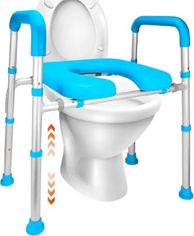 Raised Toilet Seat with Handles, View more