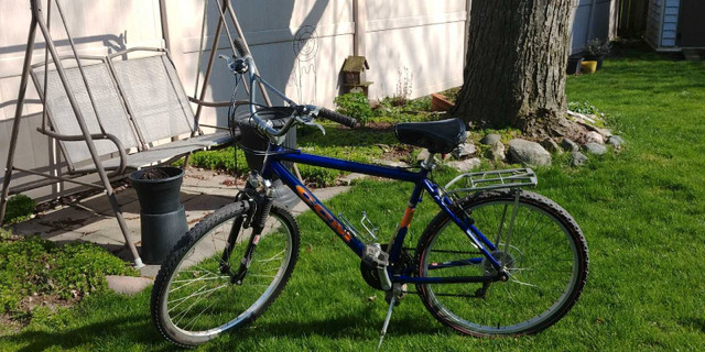 Adult bicycle  in Mountain in Leamington - Image 2