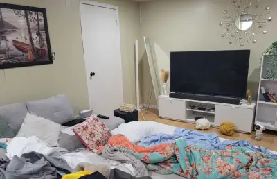 1 br basement Apt