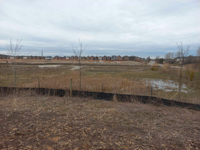 R7 vacant land 141 ft frontage by 116 ft depth dans Terrains à vendre  à Kitchener / Waterloo - Image 2