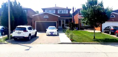 2 bedrooms Basement Apartment, ---- All new appliances, close to all amenities, public and catholic...