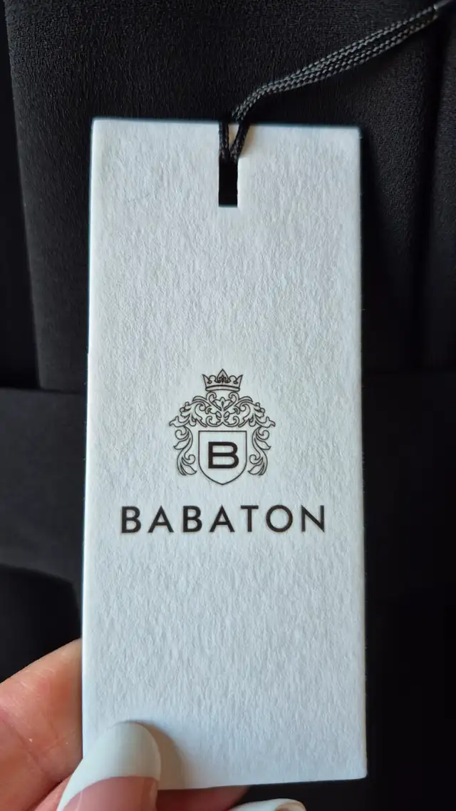 Aritzia Babaton Trench Coat62864744382337123