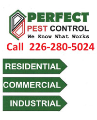 Pest control Service by Licensed Exterminators 