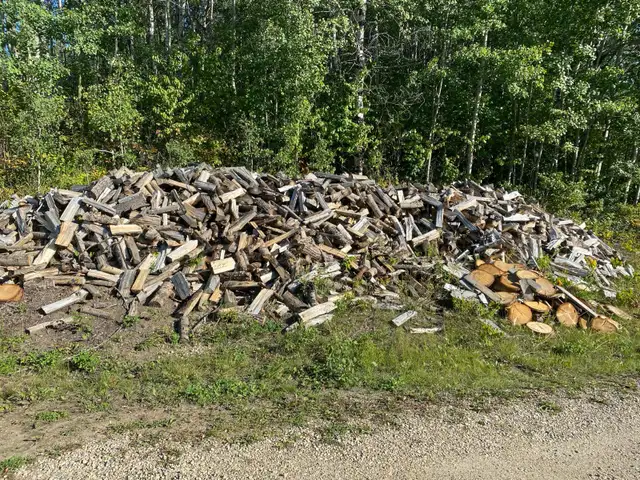 Trailer load of poplar fire wood (wabamum area) in BBQs & Outdoor Cooking in St. Albert - Image 2