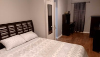 Cozy Room Rental with Luxurious Amenities and Hassle-Free