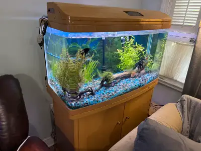 65 gallon edgeless aquarium , View more