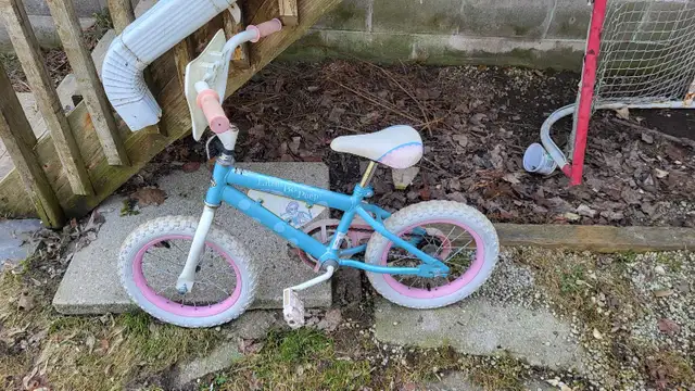 Bicycles in Kids in Owen Sound - Image 3