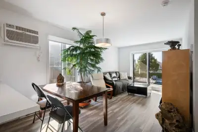 Condo moderne 2CAC à louer à partir du 1er juillet for rent