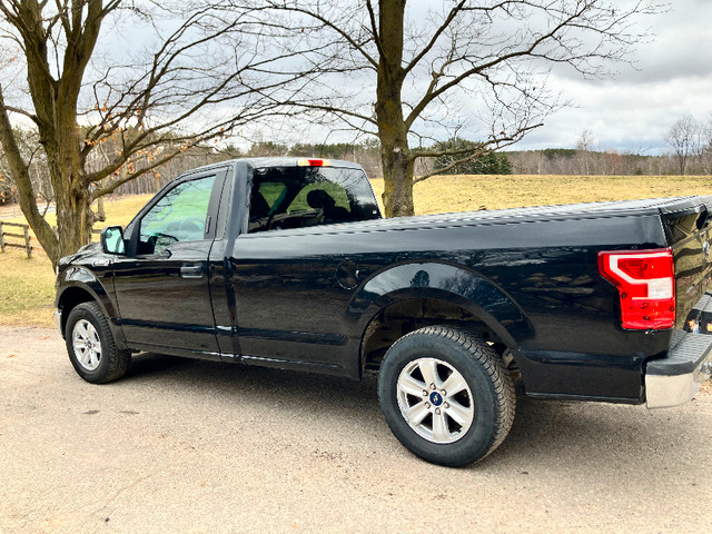 2019 Ford F-150 Regular cab 6.5 ft bed. in Cars & Trucks in Mississauga / Peel Region - Image 3