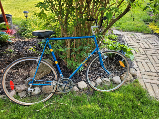 Vintage Norco Monterey  in Road in St. Catharines