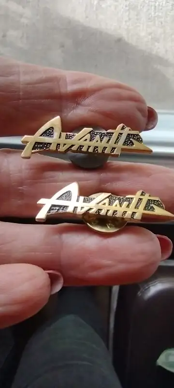 I have 2 Avanti Lapel/Hat pins 15 each One inch Pickup Birchaven . If you see ad I have them Thanks...