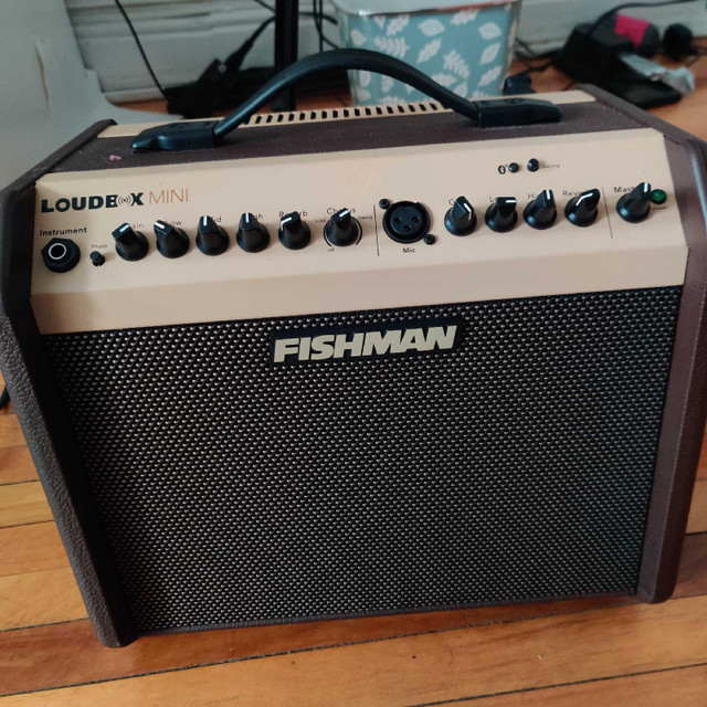 Haut parleur Fishman Loudbox mini dans Amplificateurs et pédales  à Ville de Québec