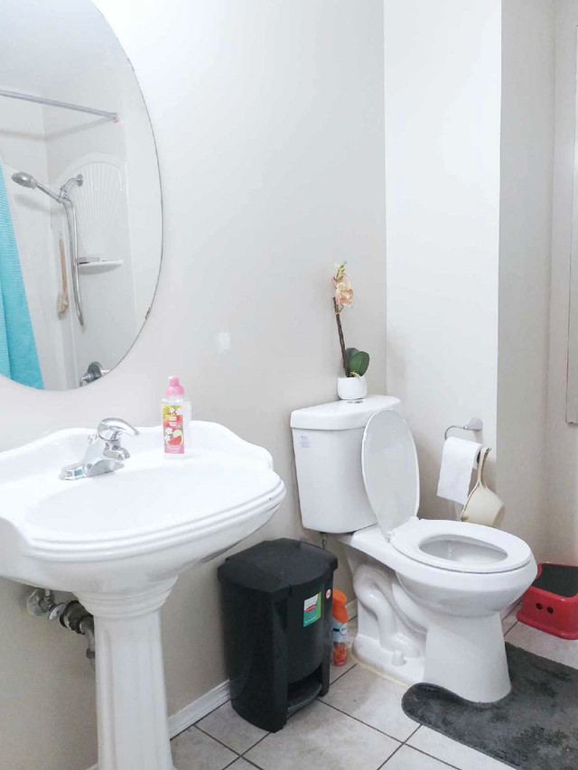 Single room for rent  in Room Rentals & Roommates in Calgary - Image 3