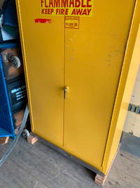 Chemical / Fire cabinets