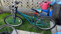 Youth size bicycle 