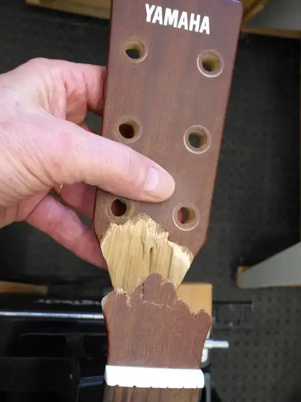 Foxhunt Luthiery instrument service & repairs600500989246853121