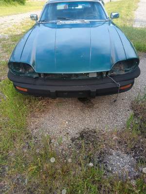 1980 Jaguar XJS