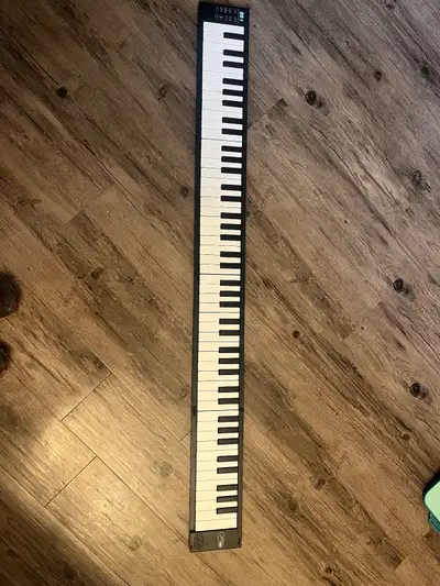 Carry On Folding Piano 88, View more