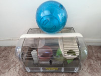 Cage and toys for hamster