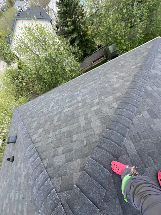 roofing service 456524698527344640
